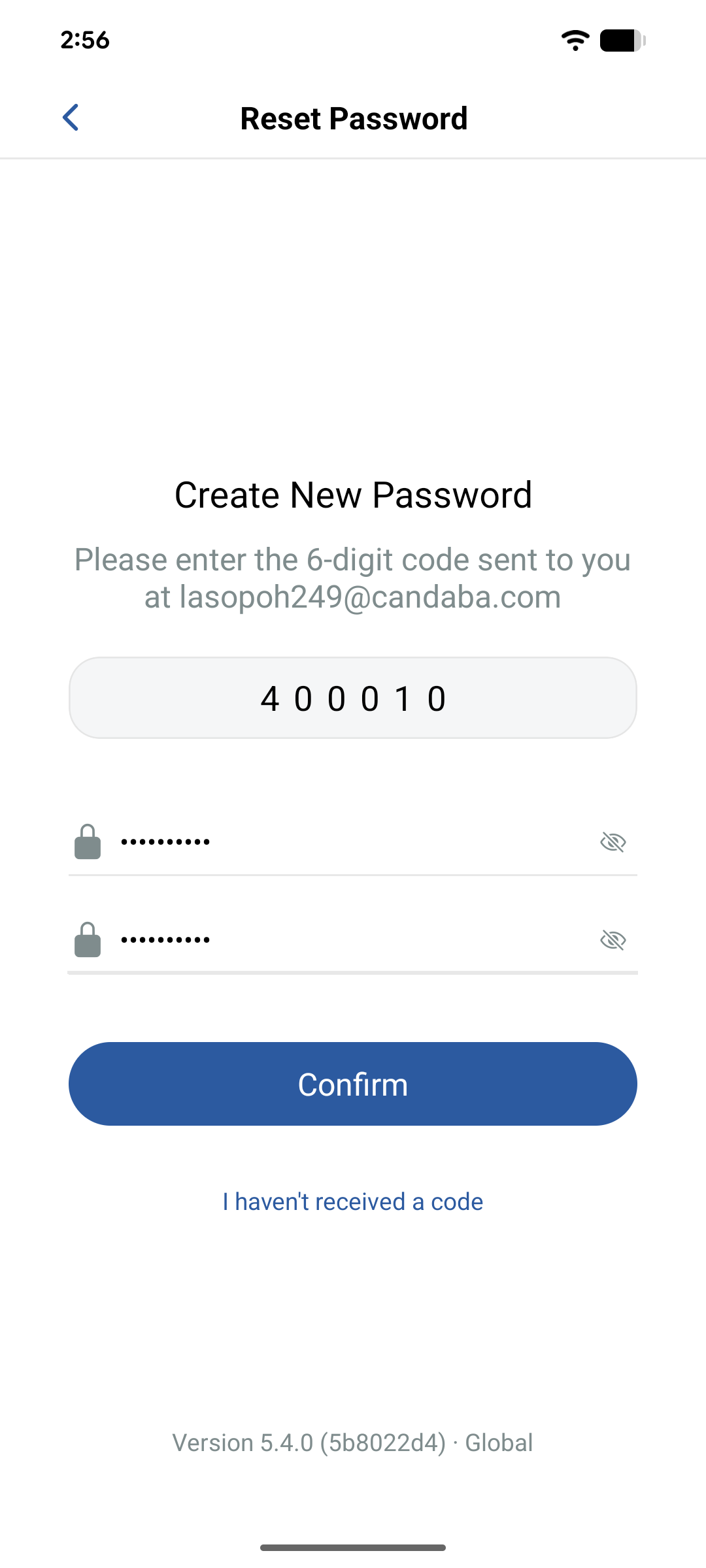 Set a new password after verification
